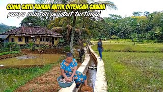 Dulu Pejabat Tertinggi Sekarang Memilih Tinggal Dirumah Tengah Sawah