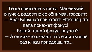 🤡Про То Как Тёща Приехала В Гости!Сборник Свежих Смешных Анекдотов!Юмор!Смешно!