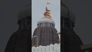 💠 Jagannath Temple 💠 Puri Tour 2024 💠 Joy Jagannath 🙏🙏❤️