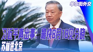 习近平真出事：最快8月18见分晓，苏林进北京；合格的越共书记总是内心反华表面亲华｜华尔街外交