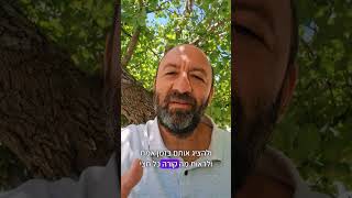 איך לראות נתונים בזמן אמת?