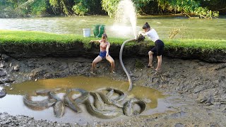 Wild Fishing Technology - Use A Large Pump Sucks Water Found Many Fish In Mud Wild Lake