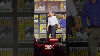 Harrison Ford takes the stage at Hall H.