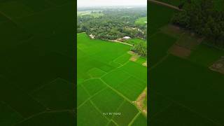 কি সুন্দর Drone View! #dronevideo #viralvideo #dji