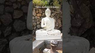 Osho Sanzen Ashram in Solan। Osho Ashram in himachal Pardesh। Osho meditation centre in himalaya।