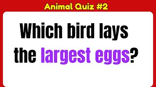 🦜 Can You Ace This Animal Quiz? 🦜 | Part 2 | 30 Tough Questions!