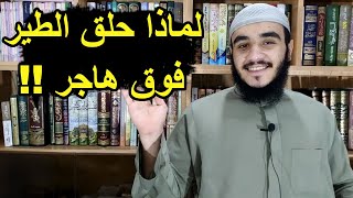 لماذا حلق الطير فوق هاجر !! - قصة إبراهيم عليه السلام ج 18