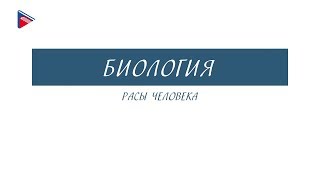 8 класс - Биология - Расы человека