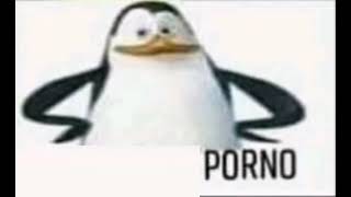 Kowalski Porno