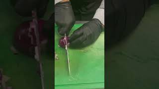 Red onion diced cutting #trendingshorts #punjabistyle #viralvideo #mudassar hussain vlogs