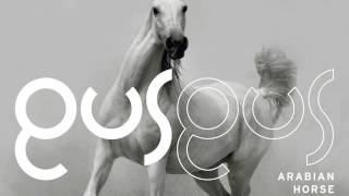 GusGus - Magnified Love 'Arabian Horse' Album