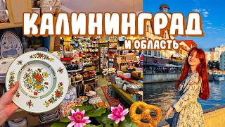 72 часа в Калининграде 🥨 лучшие кафешки, уютные места, МОРЕ и лес 🌳