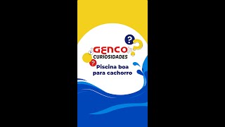 Genco Curiosidades - Piscina boa para cachorro #shorts