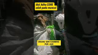 Idul adha core || Bawa kambing menggunakan motor grab✅