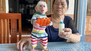 Monkey Poor obediently took medicine after returning from the hospital!