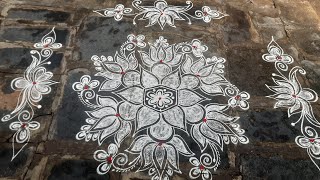 దసరా నవరాత్రుల కోసం స్పెషల్ కమలం ముగ్గు //festival rangoli //beautiful side border design