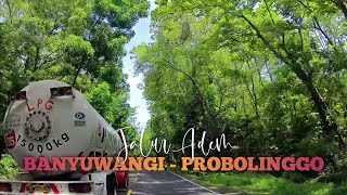 Jalur Adem Banyuwangi - Probolinggo | Ora Minggir Tabrak