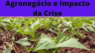 Setores do Agronegócio e Impacto da Crise Mundial