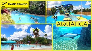 Aquatica Water Park Ryans Travels Florida Vlogs