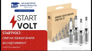 Воркшоп с представителем STARTVOLT: свечи зажигания #академиягрупавто #startvolt