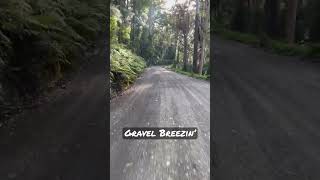 Gravel cruise in the North Coast hinterland