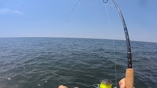 Florida Reef Fishing - Multi-Species Fishing For Snapper & Triggerfish