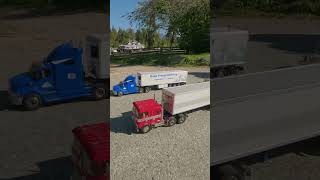 Tamiya Semi Trucks out for a cruise #shorts #tamiya #scalemodel