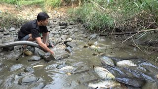 Amazing fishing - catch a lot off fish in the lake with pump - Exciting fishing