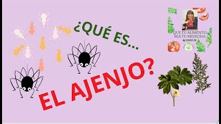 22. 🪴¿QUE ES EL AJENJO? ¿QUE TIENE QUE VER CON LOS ANTICANCERÍGENOS?