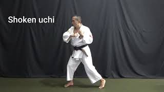 Shorinji Kempo - Basic Techniques 4