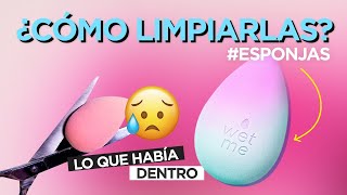 ESPONJAS LIMPIAS... ¿LIBRES DE HONGOS? | PAU FLORENCIA