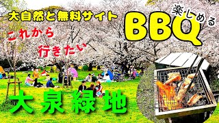 大阪BBQ桜満開 大泉緑地 これからも楽しめる 堺市に大自然満喫無料BBQ広場マジェスティSで１人花見&BBQ楽しんできた【4K】ホルモン焼き最高！