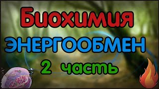 Биохимия. Лекция 52. Общие пути катаболизма. Энергообмен. Окислительное фосфорилирование