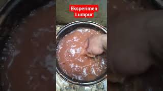 eksperimen Lumpur#Daun Ginseng#Shorts