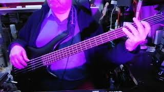 Savage Garden - Truly Madly Deeply (Didier Cover Bass)