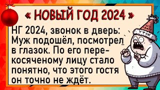 К зятю на Новый Год приперлась тёща! Новогодние анекдоты. Юмор.