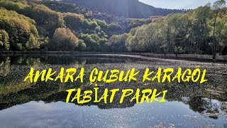 KARAGÖL ÇUBUK / ANKARA *SESSİZLİĞİN /KUŞLARIN/ DOĞANIN SESİNE TIKA BASA DOYDUK#keşfetteyiz  #doğa