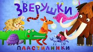 Пластилинки ☄️Зверушки 🐦🐶 Все серии ⭐ Сборник ✨ Музыкальные мультфильмы | Мультики