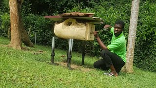 Opening of propolis window at the international stingless bee center 🐝🐝