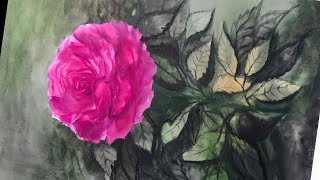 How To Paint Pink Rose Without Drawing Water Colour Tutorial Demonstration!!