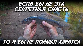 Если бы не эта секретная снасть, то я бы не поймал хариуса