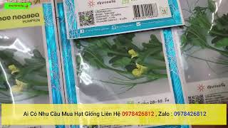 hạt giống bí ngọn nhập khẩu thái lan hàng chính hãng nguyên bao bì tem mac ai mua liên hệ 0978426812