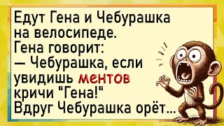 Гена и Чебурашка убегают от ментов! Анекдоты смешные про зверей. Юмор.