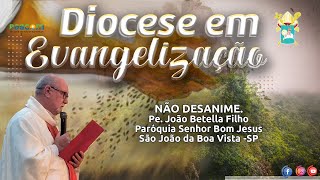 NÃO DESANIME - DIOCESE EM EVANGELIZAÇÃO.