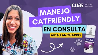 🐾 Manejo CatFriendly en la Consulta Veterinaria - Siempre podemos hacerlo mejor