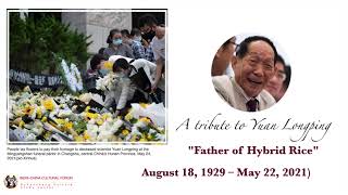 Tribute to The Father of Hybrid rice - Yuan Longping