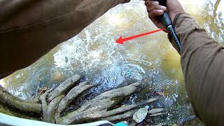 HAMPIR PATAH JORAN DI TARIK MAMA TOMAN BESAR GILA,,MANCING TOMAN