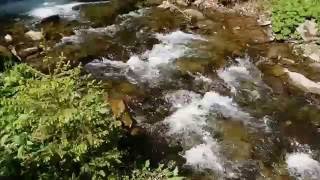 Mountain River in the Carpathians