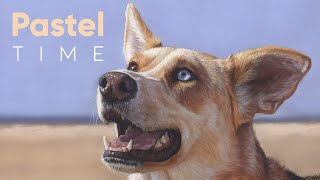 Dog on the Beach in Soft Pastel on Pastelmat - Timelapse