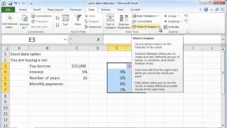 Excel data tables